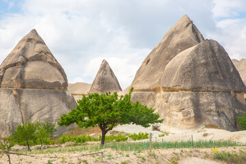 Stunning rock formations surrounded by greenery in Cappadocia, Turkey showcasing unique geology