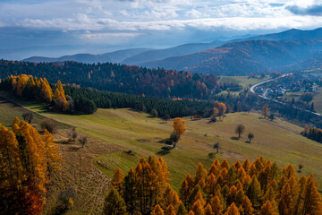 Dubne jesień, Góry Leluchowskie, jesień.  © Maciej G. Szling