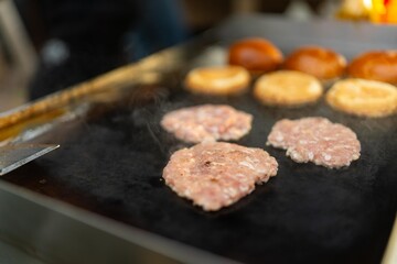 grilled meat on the grill