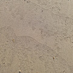 Smooth wet sand texture with natural lines and small grains on a beach surface