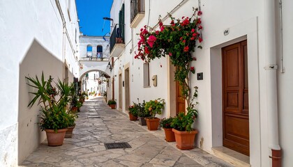 Narrow alleyway in a sunlit town. White walls, arched gateway, potted plants, and wooden doors. Vibrant red flowers cascade from a balcony above