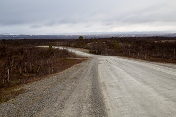 Gravel road through birch forest at Mittadalen, Harjedalen, Sweden.