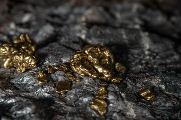 A gold vein, small pieces of gold nuggets within a rock, accumulation of gold in rocks, formed in cracks, faults, or fissures. Close up view