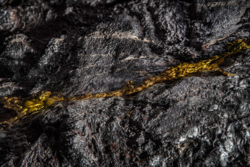 A gold vein, small pieces of gold nuggets within a rock, accumulation of gold in rocks, formed in cracks, faults, or fissures. Close up view
