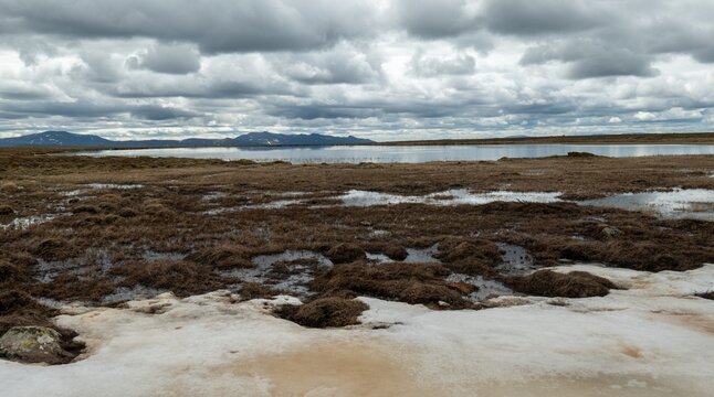 View over mountain terrain at Flatruet, Harjedalen, Sweden.