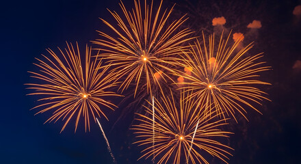 Colorful fireworks display of various colors on black background. Cluster of vibrant fireworks. 