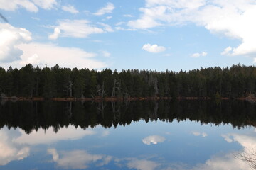 Colorful landscapes and nature during fall at Gruere's pond near Saignelégier in Switzerland
