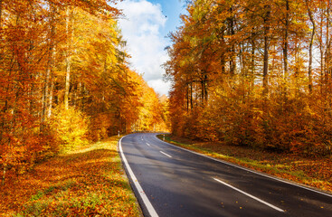 Fototapeta premium Curved autumn road through colorful forest with flying leaves under blue sky and sunlight, capturing the beauty and motion of fall nature and peaceful countryside travel