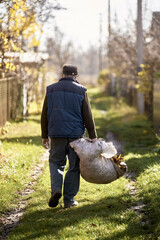 Man Carrying a Heavy Bag of Fallen Leaves Down a Sunny Country Path