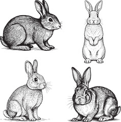 Vintage Engraving Style Rabbit Vector Set - Detailed Hand-Drawn Bunny Sketches