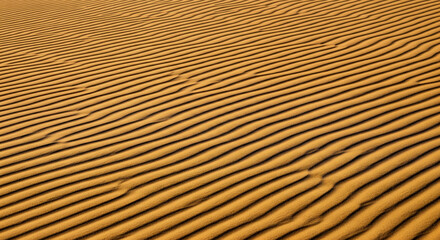 Fototapeta premium Rows of sand dunes create a linear texture of light and shadow in an arid landscape