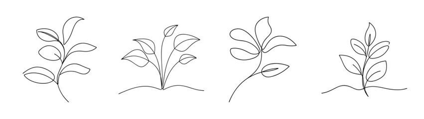 Four delicate outline drawings of potted houseplants or office plants