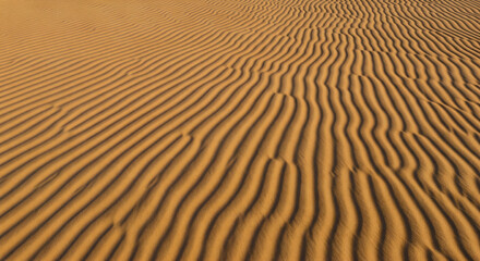 Obraz premium Symmetrical sand dunes with a repetitive wavy pattern bathed in warm light creating shadows that define the ridges