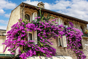 Bougainvillea blooms on a historic building in Sirmione, Lombardy, Italy during a sunny day