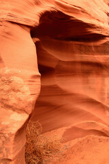 Rattlesnake Slot Canyon Arizona