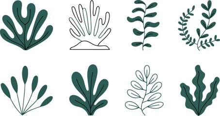 Collection of Stylized Seaweed and Coral Illustrations