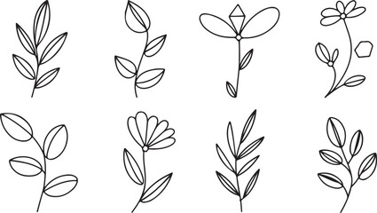 Hand Drawn Botanical Elements and Flowers leaf branch