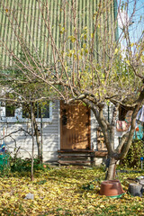 Rustic Dacha House Gable with Ornate Security Bars in Autumn Foliage