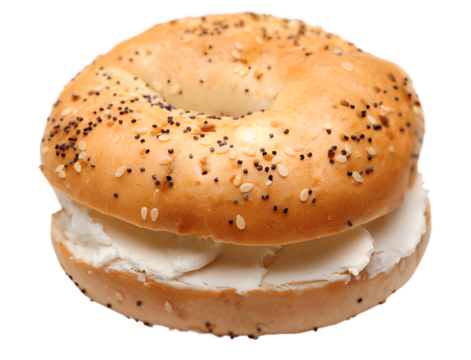 Everything bagel with cream cheese isolated on transparent background
