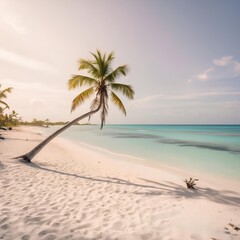 paradisiacal and deserted beach in the Caribbean