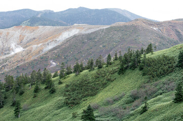 Obraz premium 火口壁と噴気が立ちのぼる草津白根山の景色