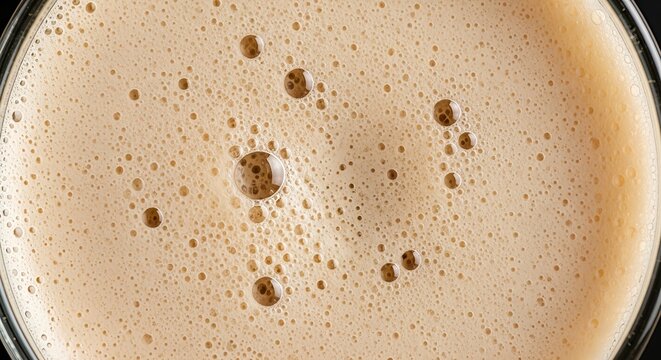 Close-up macro shot of a frothy head on a dark stout beer in a clear glass, perfect for celebrating international stout day