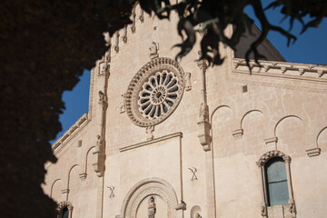 Matera cathedral behind tree
