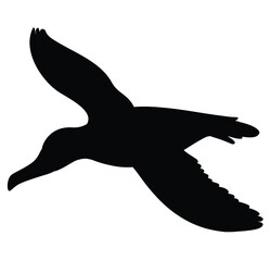 Cute cartoon hand drawn vector flying seagull silhouette.