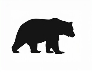 Bear illustration. white background vector 
