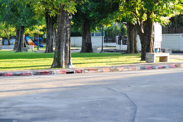 yard, footpath and  garden near the road or  outdoor garden