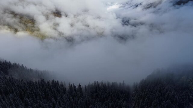 Aerial View of Bawang Mountain in Sichuan, China Misty Autumn Forest Landscape