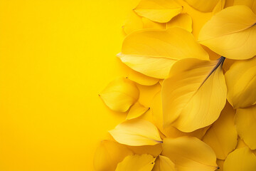 yellow background with leaves