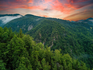 Green Forest Peaks Landscape At Red Sunset Time In The Romanian Carpathian Mountains