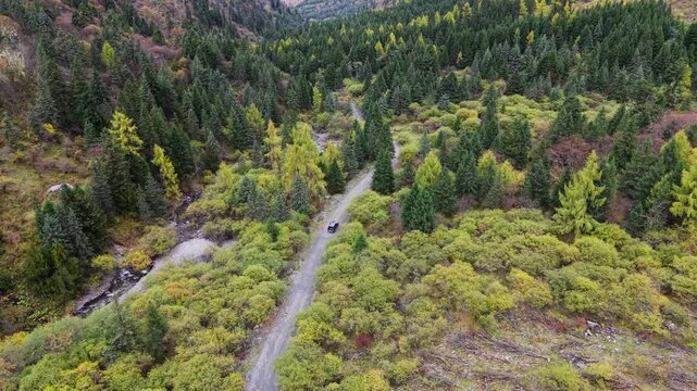 Aerial Drone Footage of Overlanding Vehicles Driving Through Autumn Forest Sichuan, China