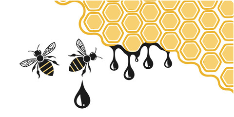Honey dripping from honeycomb with two bees vector illustration