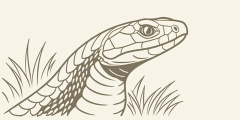 Illustration of a snake head emerging from grass, rendered in a simple, clean line art style
