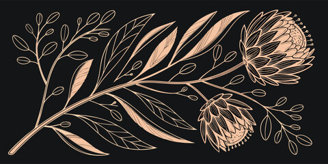 Elegant protea flower and foliage illustration in a handdrawn style with a rose gold color palette