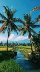 Obraz premium Lush tropical scene palm trees, rice paddies, stream, mountains, and clear blue sky