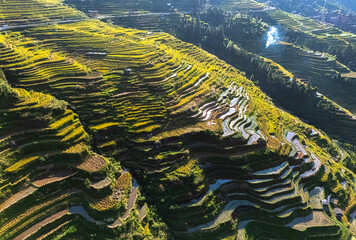 View of Jiabang Rice Terraces in the Guizhou province, China