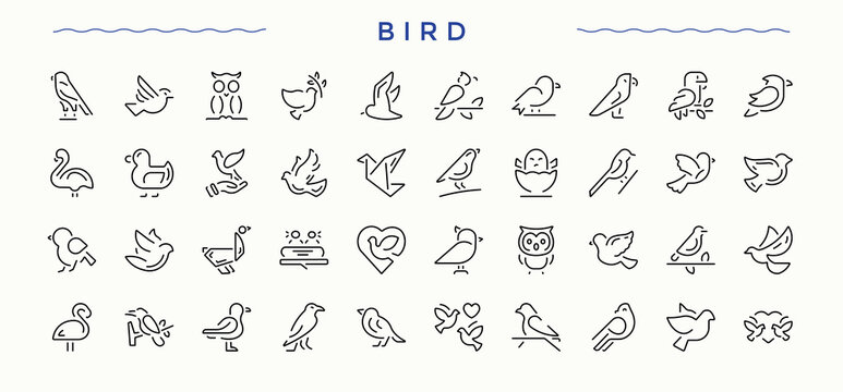 Bird icon collection. Fly icon set. Thin UI icons. It contains symbols to fly, animal and more. Editable stroke. Vector collection.