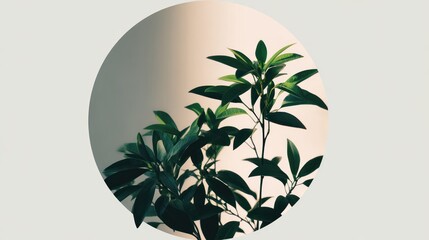 Green leafy plant branches inside a circle graphic on a white background
