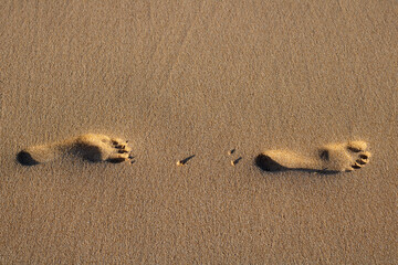 foot ptint in the beach