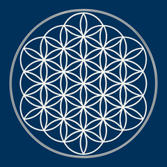 Dynamic Flower Life Bold Geom High-Quality Stock Image