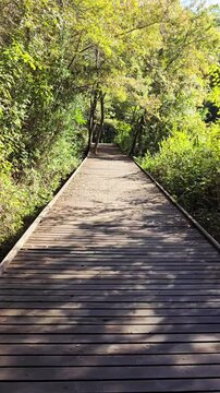 path in the woods ,autumn,Divjaka,ALBANIA