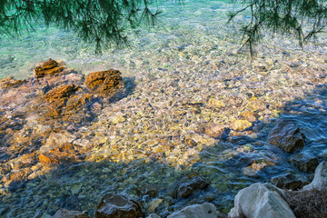 Clear rocky shoreline under pine trees with calm turquoise waters