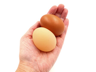 Chicken egg and wind egg in a hand isolated on a white background.