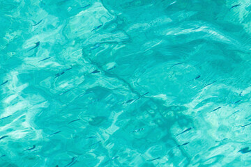 Serene turquoise ocean water with subtle fish shadows beneath the surface