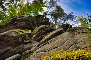 Fototapety na wymiar - Fototapeta24.pl