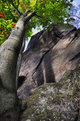 Fototapety na wymiar - Fototapeta24.pl