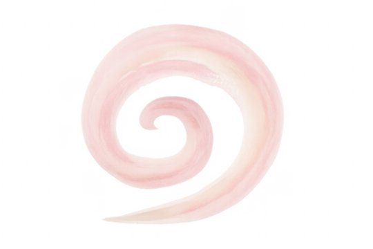 Pink watercolor spiral brush stroke swirl element